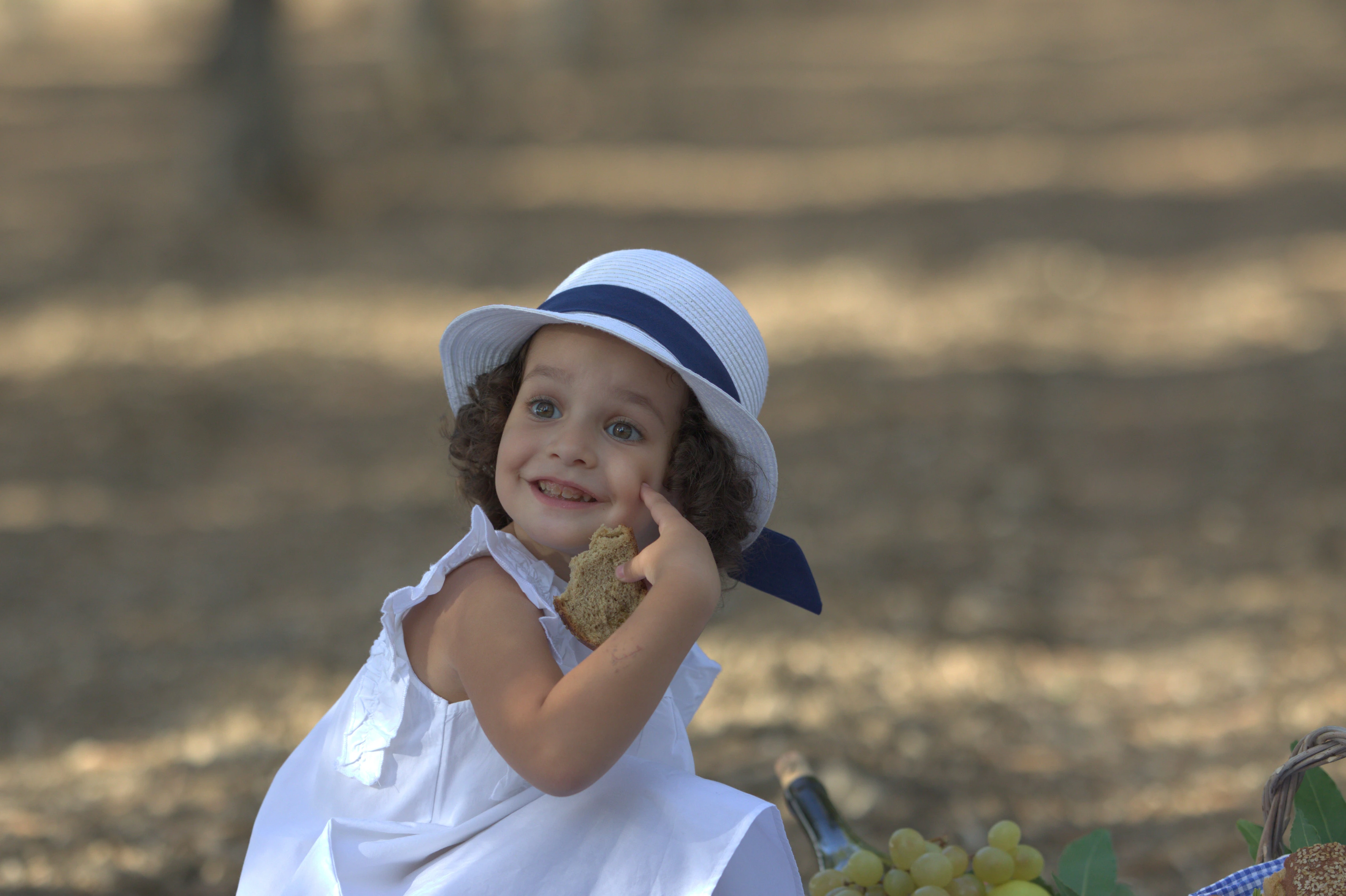 Uliveto nella Valle del Belice