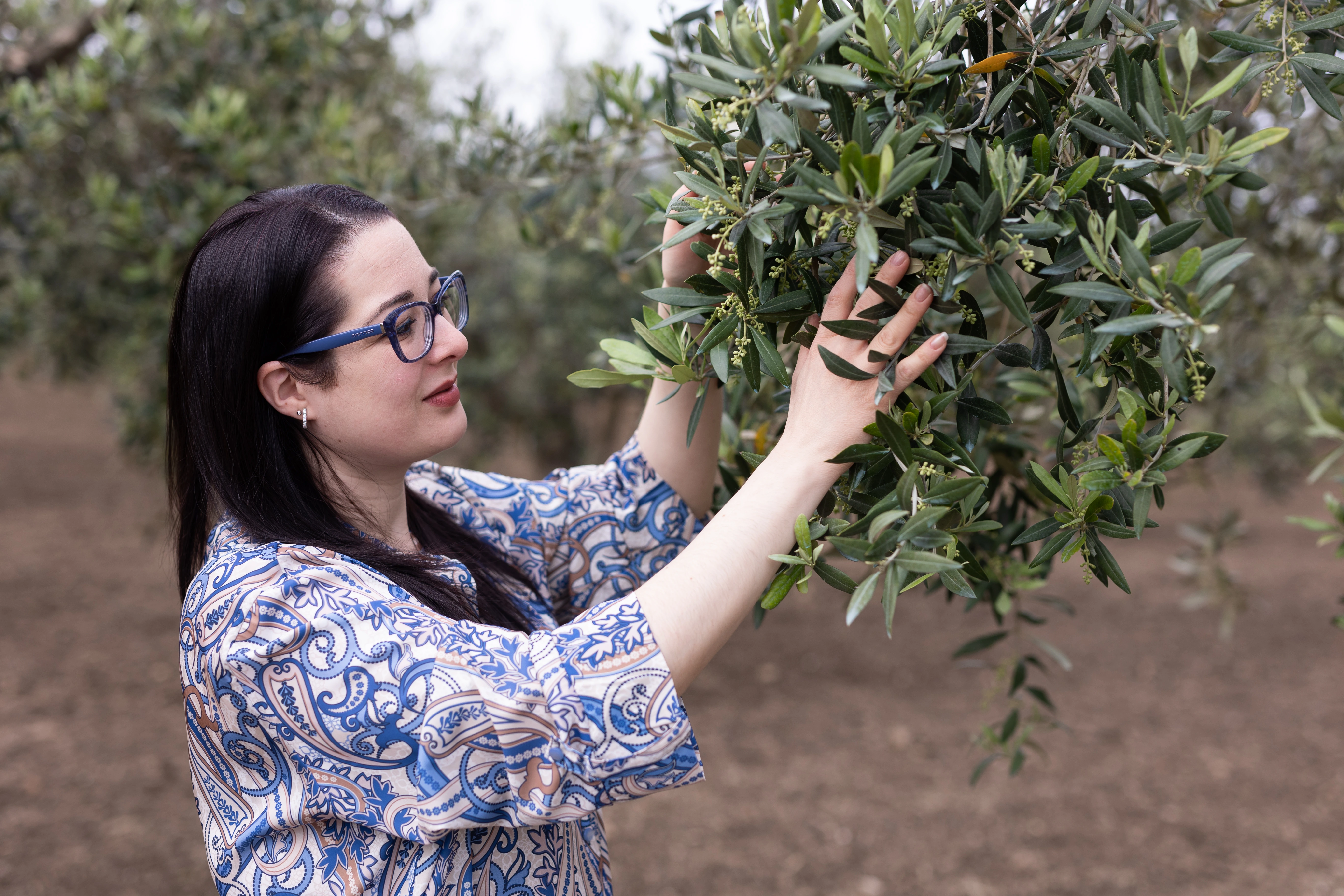 La famiglia Di Maria nell'uliveto