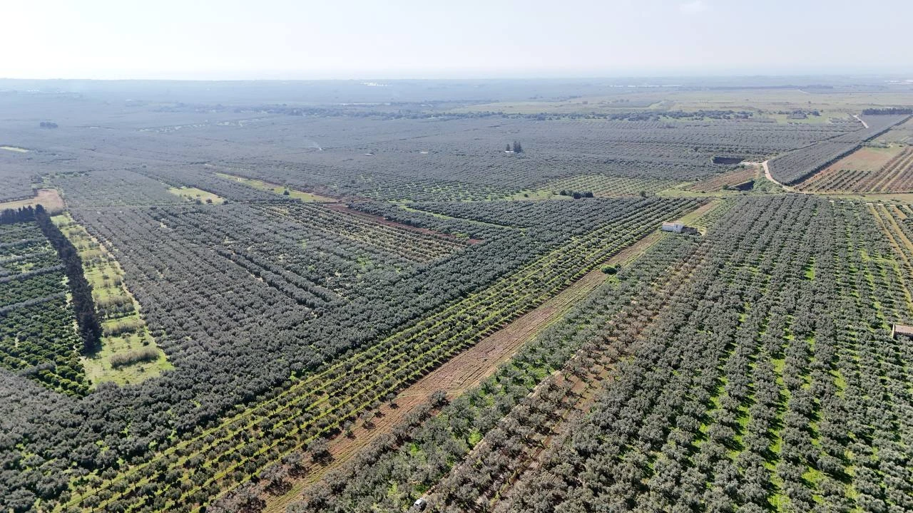 Panorama della Valle del Belice